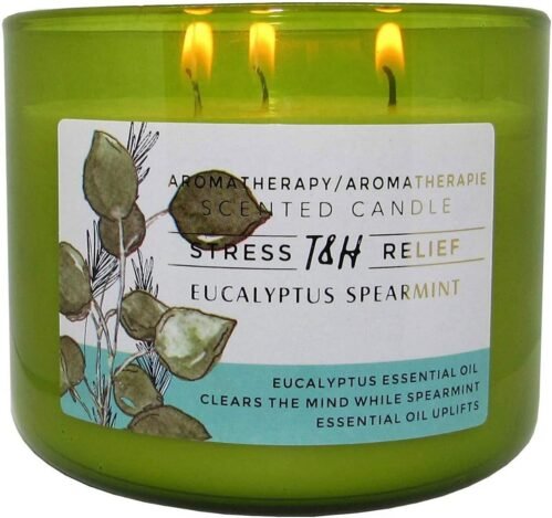 Eucalyptus Spearmint Aromatherapy Candle 3-Wick | Soy Scented Candles for Home | 15.8 oz Large Candle for Men and Women | Long Lasting Eucalyptus Candles | Decorative Candle Gift